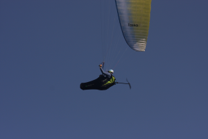 razeebuss radicall , clement Latour